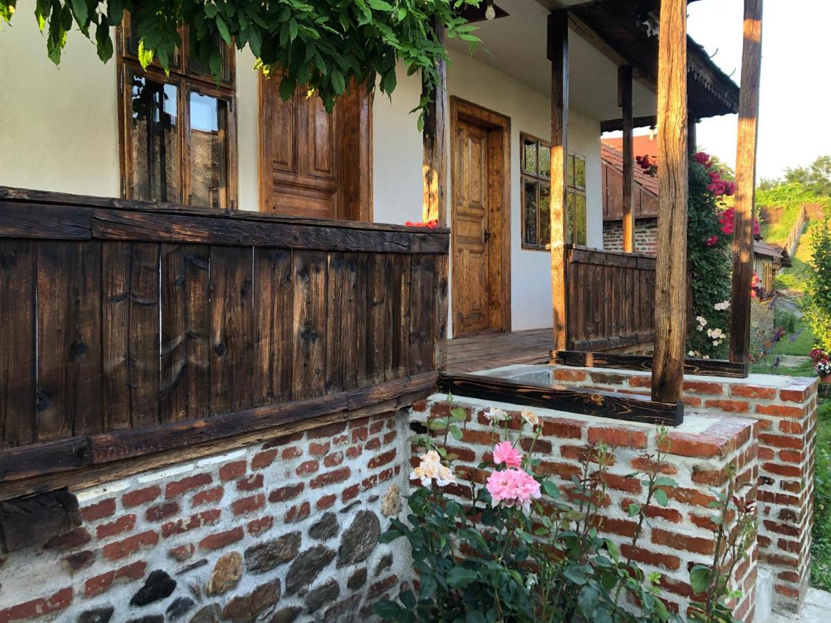 Vila Old Court Curtea de Argeş Exteriér fotografie