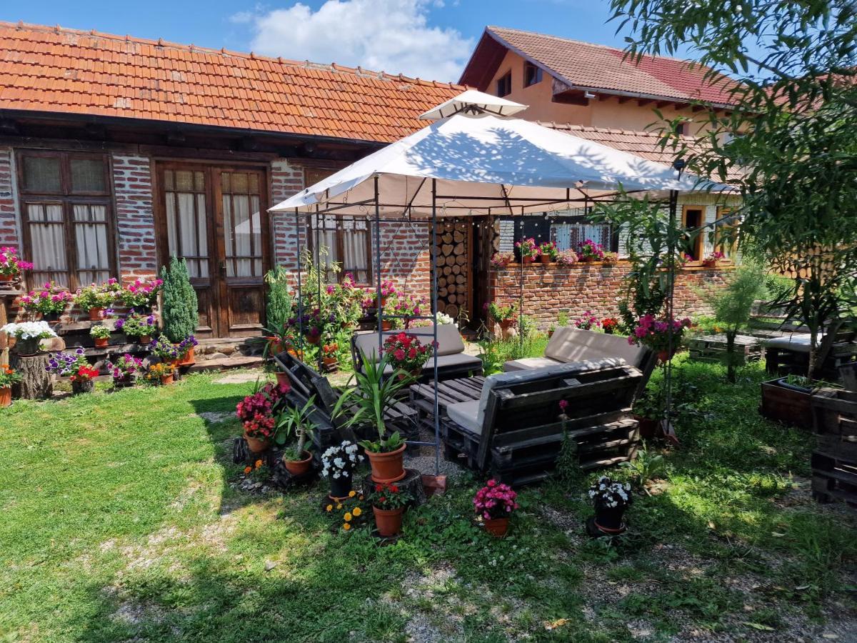 Vila Old Court Curtea de Argeş Exteriér fotografie