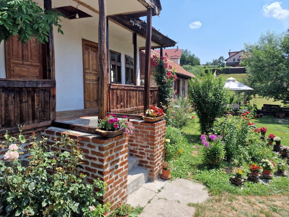 Vila Old Court Curtea de Argeş Exteriér fotografie