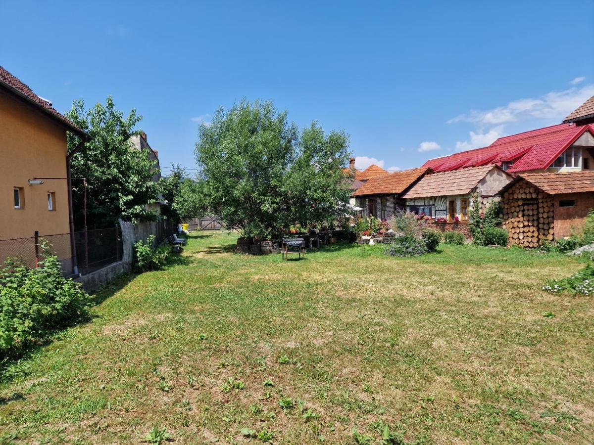 Vila Old Court Curtea de Argeş Exteriér fotografie
