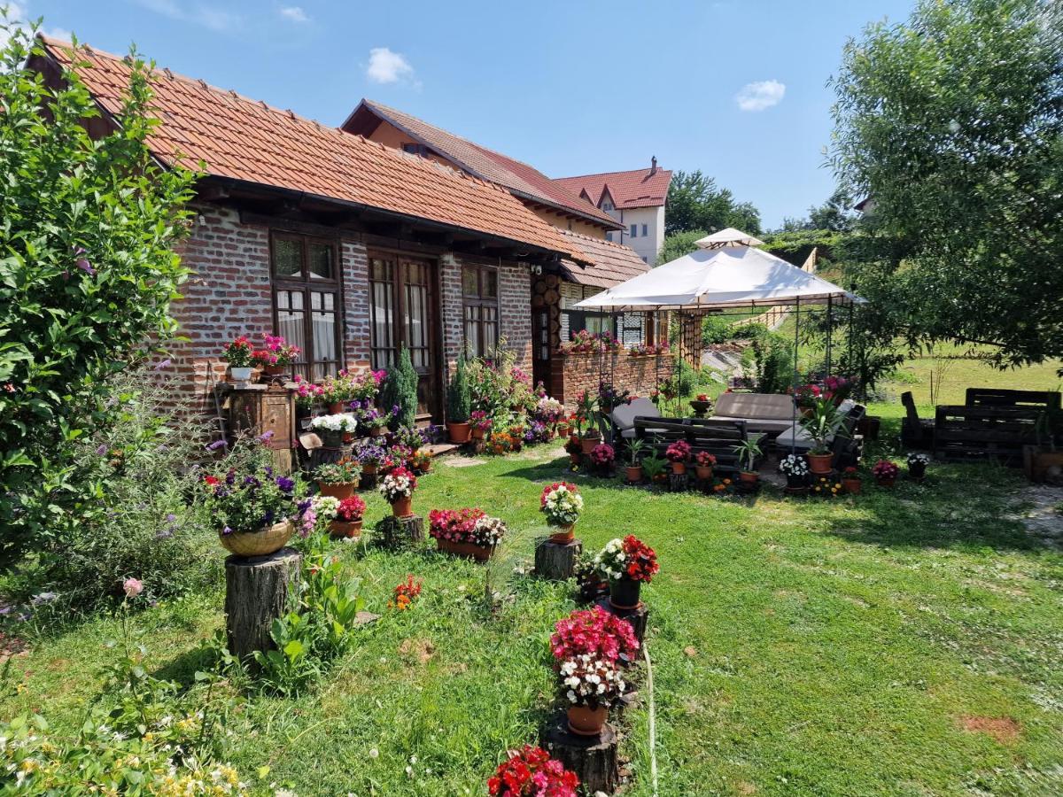 Vila Old Court Curtea de Argeş Exteriér fotografie