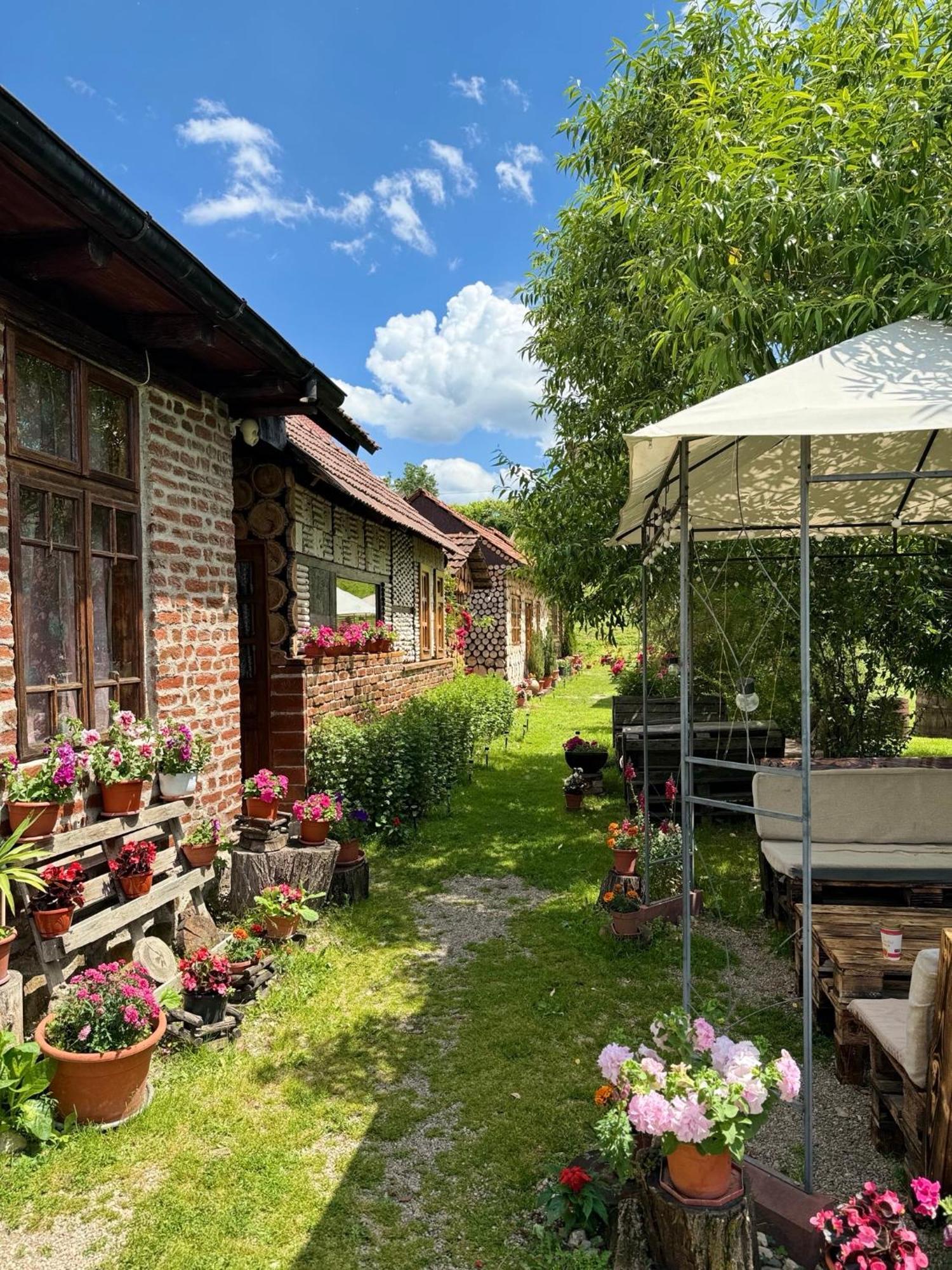 Vila Old Court Curtea de Argeş Exteriér fotografie