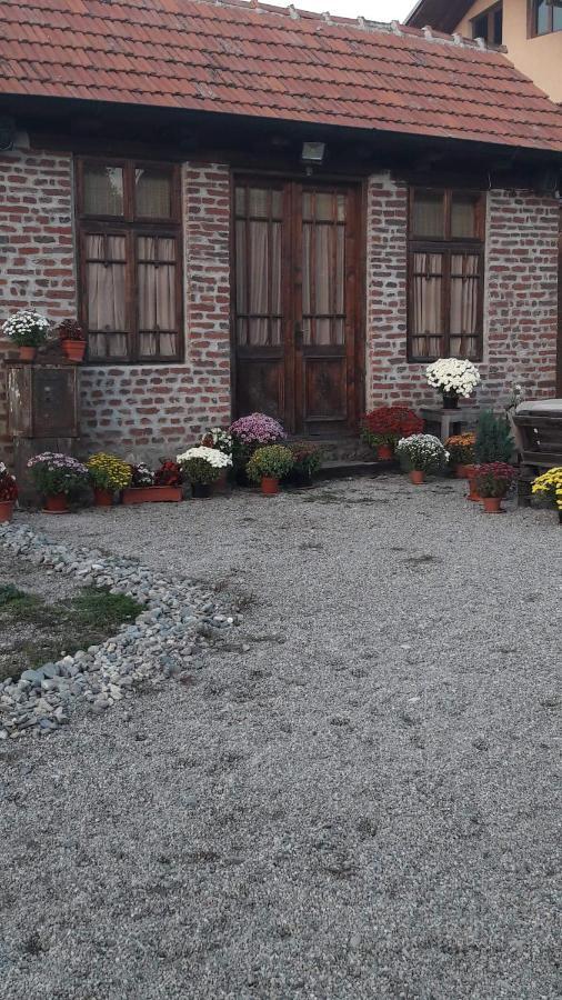 Vila Old Court Curtea de Argeş Exteriér fotografie